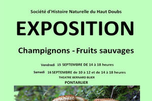 La nature en automne - champignons et fruits sauvages