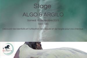 Stage Argilo & Algo pour les chevaux
