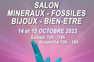 Salon minéraux, fossiles, bijoux de créateur et bien-être.