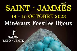 1er SALON MINERAUX FOSSILES BIJOUX de SAINT-JAMMES (Pyrénées-Atlantiques)