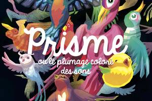 Prisme, ou le plumage coloré des sons