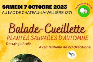 Balade-Cueillette plantes sauvages d'automne