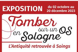 Exposition : Tomber sur un os en Sologne. L'Antiquité retrouvée à Soings