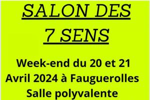 Salon des 7 sens fauguerolles