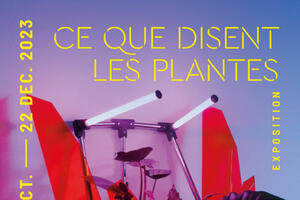 Ce que disent les plantes