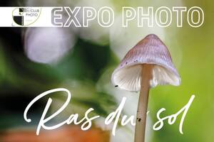 Expo Photos 