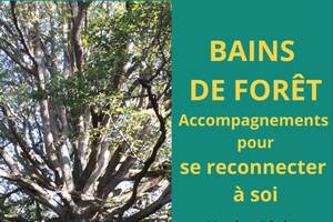 Bain de forêt