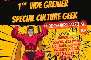Vide Grenier Spécial Culture Geek