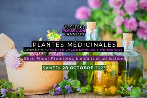 Atelier Plantes Médicinales: Elixir Floral - Propriétés, bienfaits et utilisation