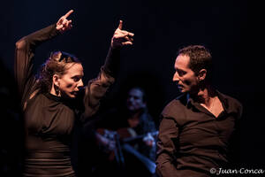 Les Automnales Flamencas