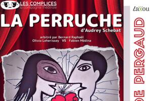 LA PERRUCHE d'Audrey Schebat