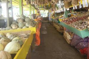 vide grenier géant-baptême de l'air en hélicoptère