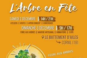 photo L'Arbre en Fête