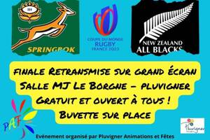 Finale coupe du monde de rugby