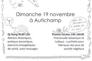 Plante & Qi Gong, ateliers d'automne