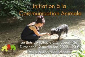 Stage Initiation Communication Animale