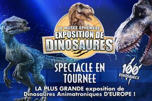 Dinosaures: Carcassonne accueille le Musée Éphémère®