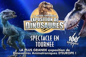 Dinosaures: Saint-Raphaël accueille le Musée Éphémère®