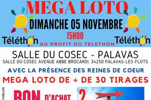 Méga Loto du Téléthon + de 30 Tirages