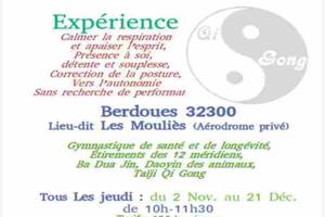 Qi Gong séances et ateliers