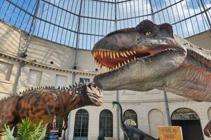 Expo Découverte : l'Histoire des Dinosaures à Landerneau