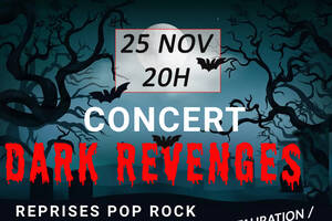 Concert pop rock Dark Revenges