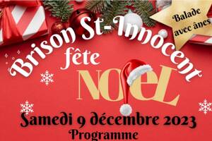 Brison St Innocent fête Noël