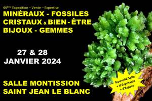 45ème Salon Minéraux Fossiles Cristaux & Bien-Être Bijoux et Gemmes