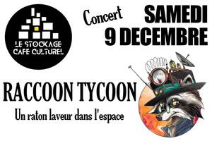 Raccoon Tycoon en concert au Stockage