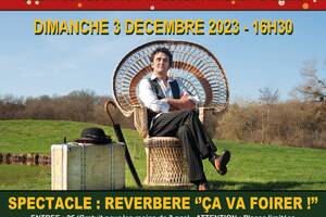 Spectacle familiale : REVERBERE 