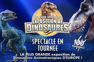 Dinosaures: Villeurbanne accueille le Musée Éphémère®