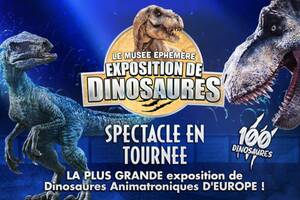 Dinosaures: Montpellier accueille le Musée Éphémère®