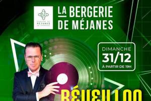 Réveillon du Jour de l'An au Domaine de Méjanes en Camargue