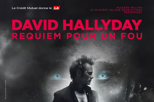 photo David Hallyday - REQUIEM POUR UN FOU