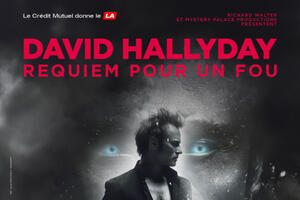 David HALLYDAY - Requiem pour un fou