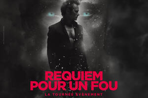 David HALLYDAY - Requiem pour un fou