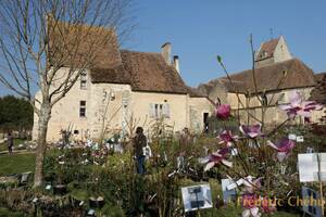 photo Fête des plantes du Perche