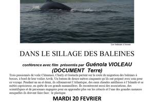 Dans le sillage des baleines