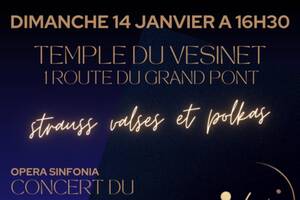 Concert du Nouvel An : Strauss célèbres valses et Polkas