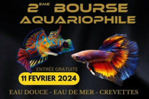 2ème Bourse Aquariophile - Eau douce - Eau de mer - Crevettes -  Aqua Récif 86 -  Jardres 