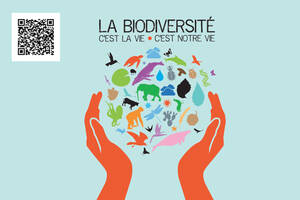 Semaine Culturelle sur la biodiversité