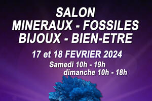 Salon minéraux, fossiles, bijoux de créateur et bien-être.