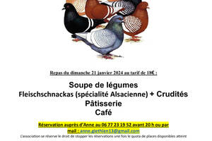Exposition Internationale de pigeons de race