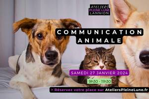Atelier Communication Animale - Intuition et connexion universelle