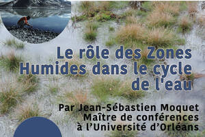 Conférence : Le rôle des zones humides dans le cycle de l’eau