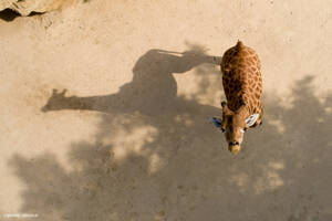 photo Le week-end des Projets Nature