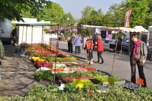 photo Grande Fête du Printemps