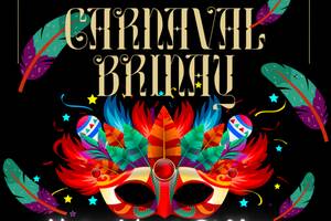 photo Carnaval de Brinay