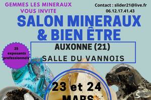 Salon minéraux et bien être