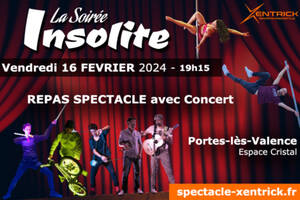 La Soirée Insolite - Spectacle Repas Concert